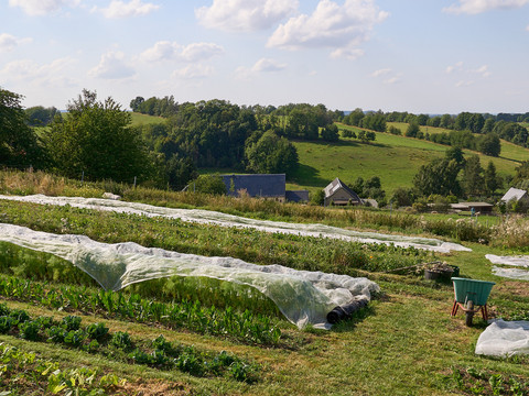 Feld mit einzelnen Reihen für Gemüse und im Hintergrund der Hof mit Landschaft.