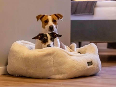 "Check-in" und "Bonni"