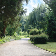 Bürgerpark_OSB_Benedikt Kohn.jpeg