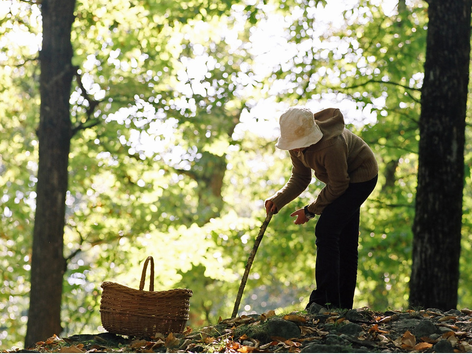 Themenweg Kastanienselve Salzgäb
