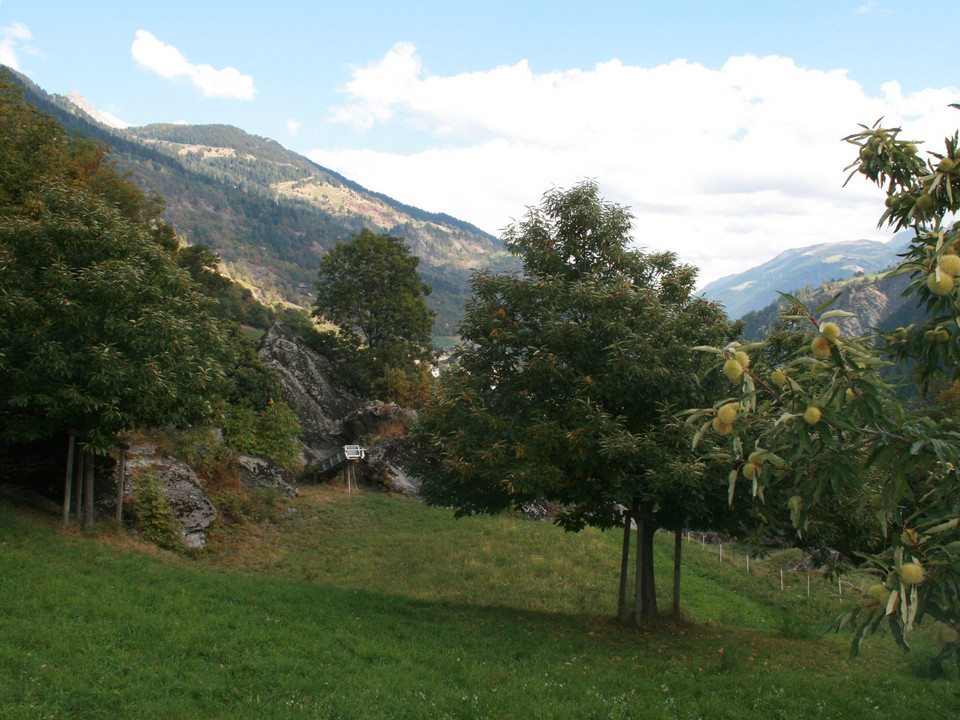 Themenweg Kastanienselve Salzgäb