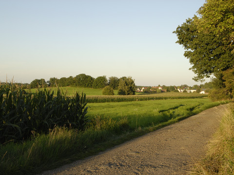 Schöner Gravelpfad bei Moritzburg