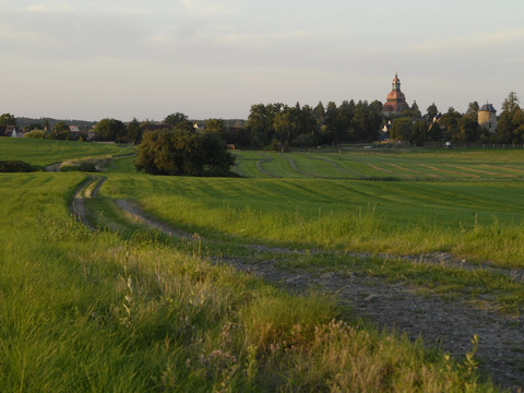Aussichtspunkt kurz vor dem Dippelsdorfer Teich