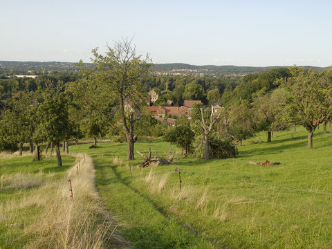 Durch Streuobstwiesen bei Gauernitz