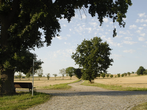 Weg am Gosebach in Diera