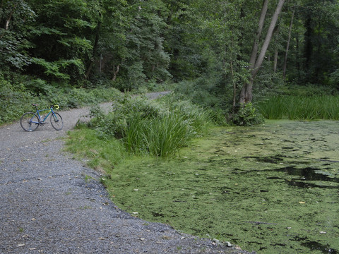 Heiliger Grund in Meißen