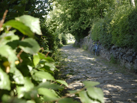 Leinpfad in Kleinleckwitz