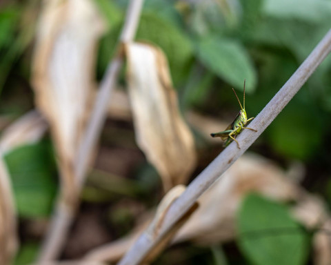 Overlook Lodge - Kellerwald Edersee