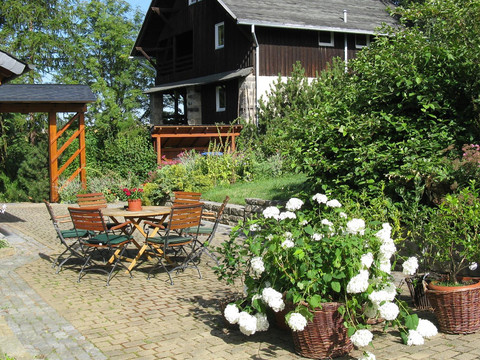 Sommer im Grünen