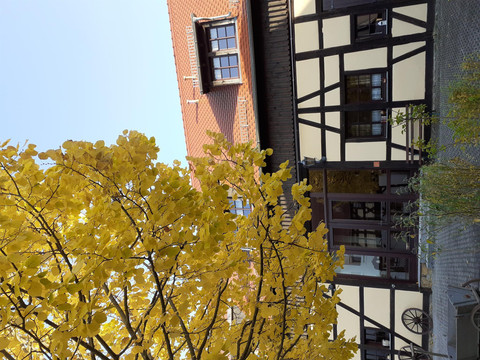 Herbst im Lavendelhof (2)