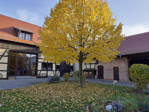 Herbst im Lavendelhof