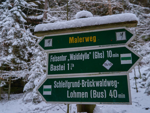 Uttewalder Grund zwischen Lohmen und Stadt Wehlen im Winter