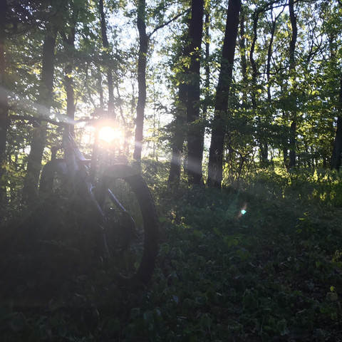 BF00102C-989B-4F61-9B51-98B580D57DE5_1_201_a