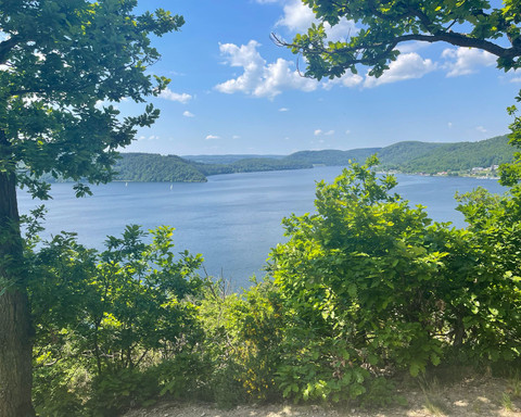 Ausblick auf den Edersee vom Urwaldsteig