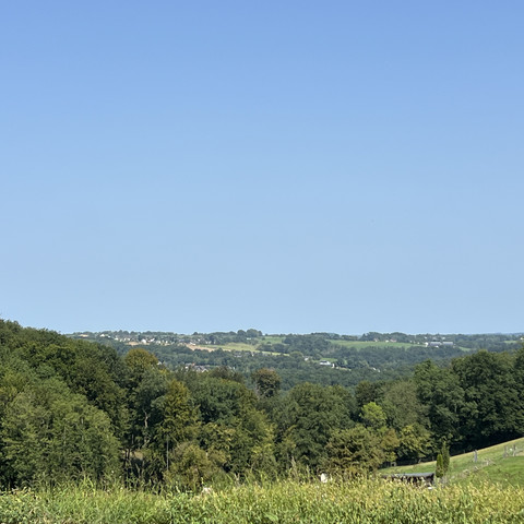 Denkschmiede Weiter Blick über Wälder und Hügel bei Winterscheid unter klarem blauem Himmel