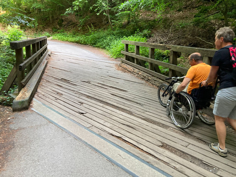 Houten substraat Ein Rollstuhlfahrer wird über eine hölzerne Brücke geschoben. A wheelchair user is pushed over a wooden bridge.Vozíčkář je tlačen přes dřevěný most.Een rolstoelgebruiker wordt over een houten brug geduwd.