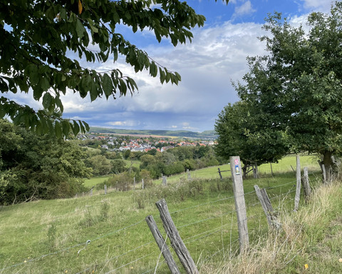 Kellerwaldsteig und Burg Löwenstein Weg bei Bad Zwesten
