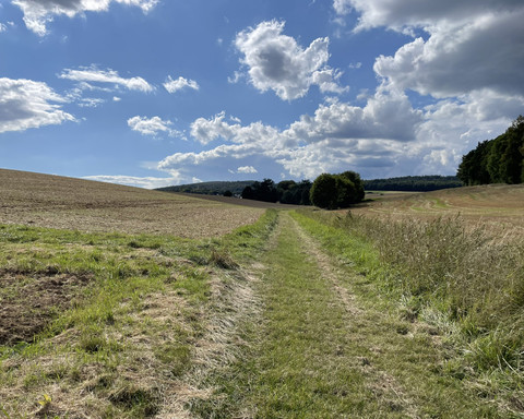 Auf dem Burg Löwenstein Weg