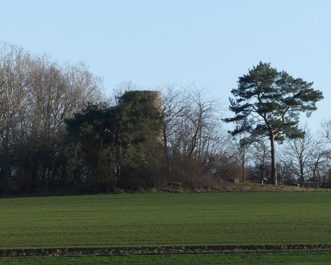 Braunauer Warte mit vorgelagertem Wäldchen