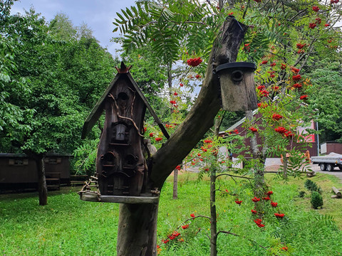 glückAuf auf der hutzenAlm