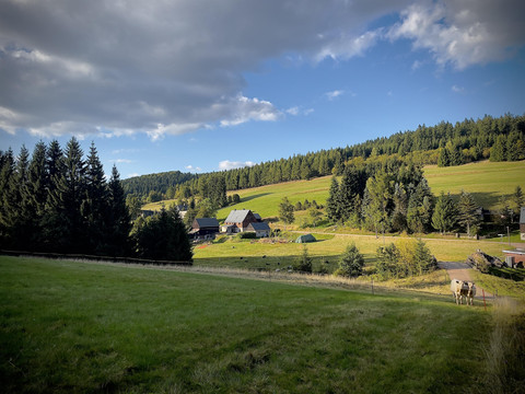 IMG_6045