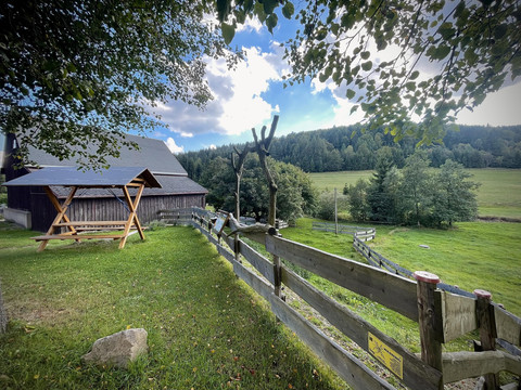 Foto 07.09.25, 16 52 57