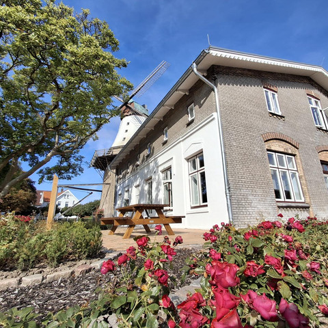 Müllerhaus Kappeln Doris Smit 2025 (4).JPG