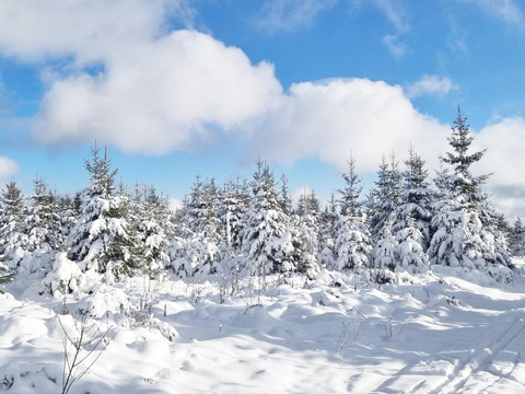 Winterlandschaft