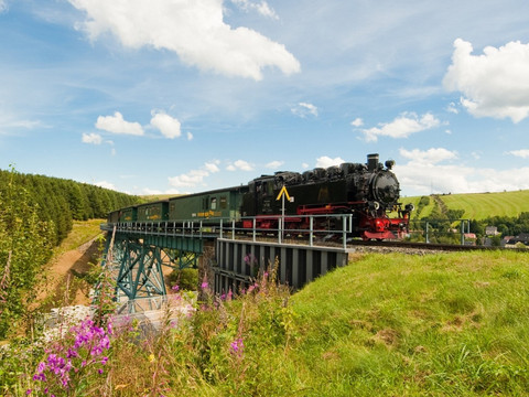am Eisenbahnviadukt Oberwiesenthal