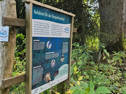 Erlebnispfad Flussperlmuschel