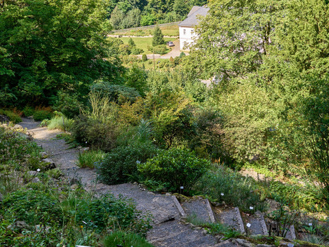 Winding paths lead through a lush green landscape in the Bad Schandau Botanical Gardens.