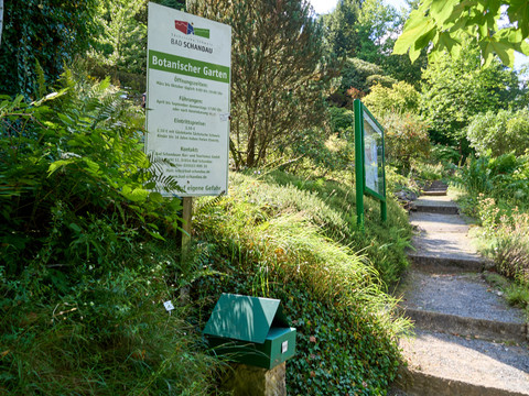 Entrance to the Bad Schandau Botanical Gardens with information sign next to a shady path.