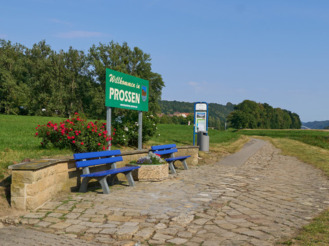 Dampfschiff-Anleger Prossen Zwei blaue Bänke vor Blumenschmuck am Schiffsanleger Prossen, im Grünen, mit Wegweiser.