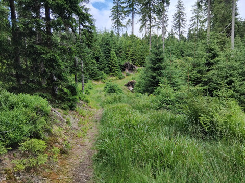 Wie aus dem Märchenbuch