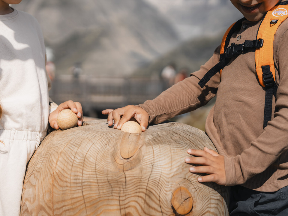 Sommer Gletschi-Tour in der Aletsch Arena Sommer Gletschi-Tour in der Aletsch Arena