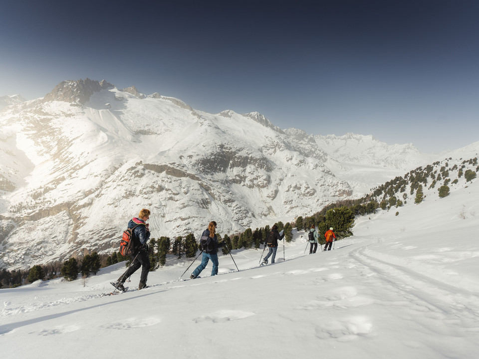 Snowshoe tour in the Aletsch Forest Gruppe auf Schneeschuhtour UNESCO Aletschwald mit Blick auf die verschneiten Walliser Alpen und tiefes WinterpanoramaGroup on a snowshoe tour UNESCO Aletsch Forest with a view of the snow-covered Valais Alps and deep winter panoramaGroupe en randonnée en raquettes à neige UNESCO Forêt d'Aletsch avec vue sur les Alpes valaisannes enneigées et un profond panorama hivernal