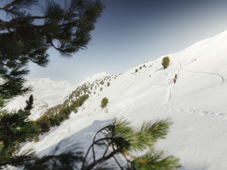 Schneeschuhpfad durch den Aletschwald Kleine Gruppe auf Schneeschuhtour UNESCO Aletschwald folgt Spuren durch verschneiten Bergwald mit Panorama auf AletschgletscherSmall group on a snowshoe tour UNESCO Aletsch Forest follows tracks through snow-covered mountain forest with panoramic views of the Aletsch GlacierPetit groupe en randonnée en raquettes à neige UNESCO Forêt d'Aletsch suit des traces à travers la forêt de montagne enneigée avec panorama sur le glacier d'Aletsch