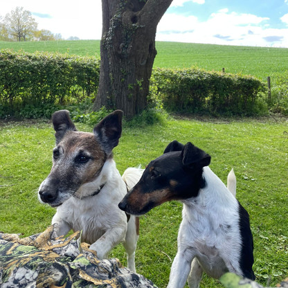 Bosse und Nellie.jpg