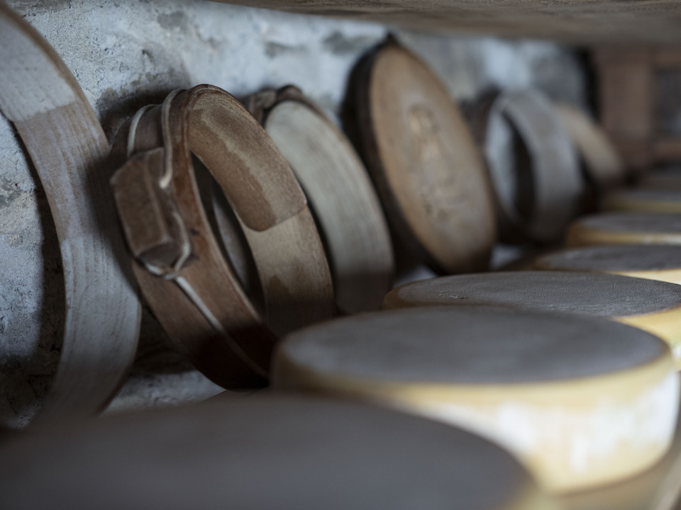 Detailaufnahme von gereiftem Alpkäse Schaukäsen Alpmuseum Aletsch zeigt Käselaibe und alte Holzringe im Reifekeller des Alpmuseums RiederalpShow cheeses Alpmuseum Aletsch displays cheese wheels and old wooden rings in the ripening cellar of the Alpmuseum RiederalpFromage de démonstration Le musée d'alpage d'Aletsch montre des meules de fromage et d'anciens cercles en bois dans la cave d'affinage du musée d'alpage de Riederalp