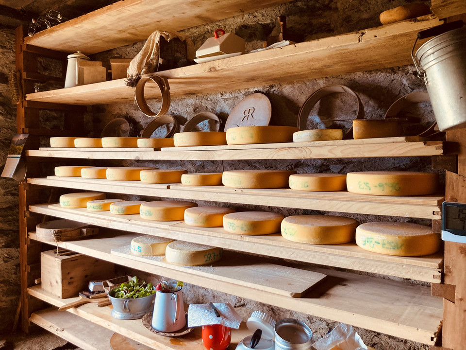Traditioneller Käsekeller im Alpmuseum Riederalp Schaukäsen Alpmuseum Aletsch mit sorgfältig gelagerten Käselaiben im historischen Käsekeller der RiederalpAletsch Alpine Museum cheese show with carefully stored cheese wheels in the historic Riederalp cheese cellarFromage de démonstration du musée d'alpage d'Aletsch avec des meules de fromage soigneusement entreposées dans la cave à fromage historique de Riederalp