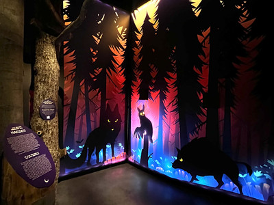 Ein dreidimensional gestalteter Ausstellungsraum der HEX Erlebniswelt zeigt geheimnisvoll beleuchtete Waldtiere in einer nächtlichen Waldkulisse, darunter stilisierte Silhouetten von Wölfen und einem Wildschwein, die von leuchtenden Farben umgeben sind.