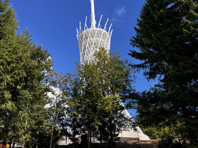 Moderner Aussichtsturm mit markantem weißem Gitterwerk erhebt sich inmitten hoher Bäume als weltrgößter Hexenbesen der HEX Erlebniswelt in Ellrich.