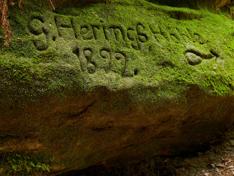 Moosbedeckter Felsen mit eingraviertem Text "Hehrings Höhle 1892" in einem Wald.