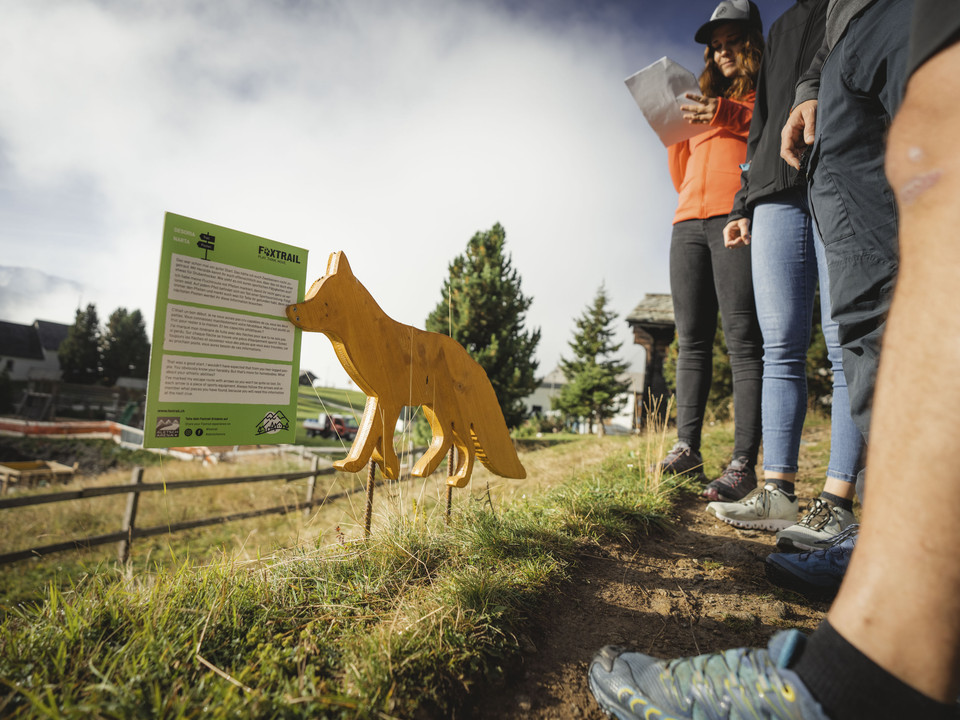 Foxtrail station with wooden fox Foxtrail Desoria Aletsch Arena mit gelbem Holzfuchs und Infotafel, während Teilnehmer die nächste Aufgabe studierenFoxtrail Desoria Aletsch Arena with yellow wooden fox and information board, while participants study the next taskFoxtrail Desoria Aletsch Arena avec un renard en bois jaune et un panneau d'information, tandis que les participants étudient la prochaine tâche.