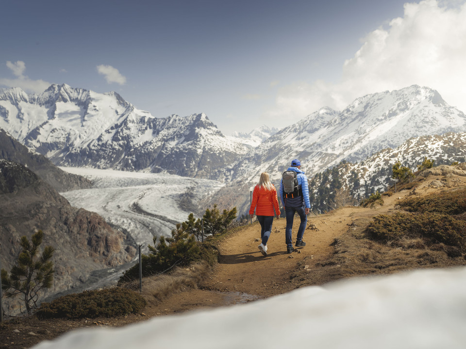 Randonnée au glacier d'Aletsch Frühlingsfahrten Hohfluh mit Wanderern auf einem Bergweg oberhalb des Grossen AletschgletschersSpring rides Hohfluh with hikers on a mountain trail above the Great Aletsch GlacierCourses printanières Hohfluh avec des randonneurs sur un chemin de montagne au-dessus du grand glacier d'Aletsch
