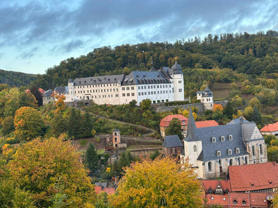 Blick auf das Stolberger Schloss Auf einem bewaldeten Hügel thront die große weiße Schlossanlage von Stolberg, umgeben von buntem Herbstlaub.