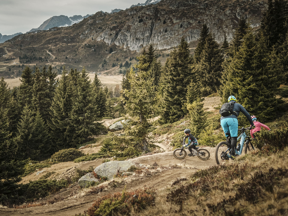 Familientour auf dem Trail Aletsch Bikepass mit Familie auf dem Flowtrail durch den Bergwald oberhalb der Bettmeralp in der Aletsch ArenaAletsch Bikepass with the family on the flow trail through the mountain forest above Bettmeralp in the Aletsch ArenaAletsch Bikepass en famille sur le flowtrail à travers la forêt de montagne au-dessus de Bettmeralp dans l'Aletsch Arena