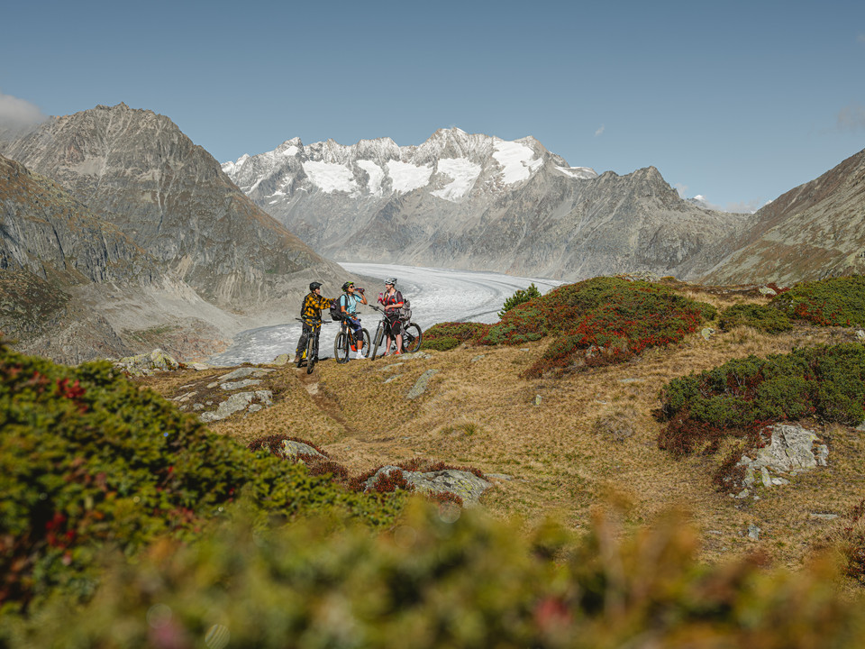 Faire du vélo avec vue sur le glacier d'Aletsch Pass VTT haut-valaisan avec des vététistes au point de vue au-dessus du grand glacier d'Aletsch avec vue panoramique sur les Alpes valaisannes