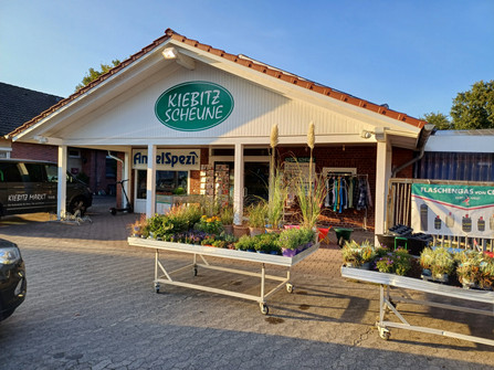 Cadenberge_Kiebitzscheune