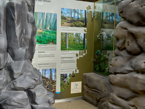 Nationalparkzentrum Ausstellung mit Felsnachbildungen und Informationsplakaten über Waldökologie.
